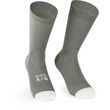 Assos Endurance S11 Socks Edge Green